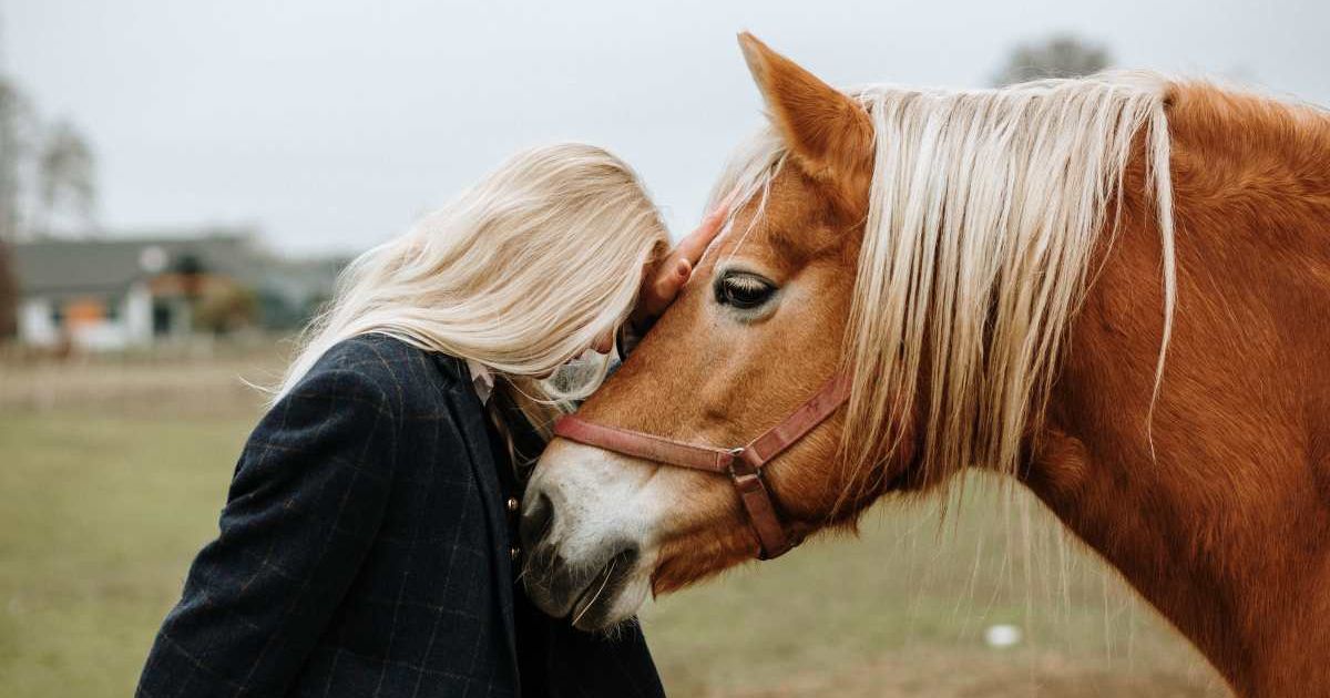 Blonde woman resting her head on a horse. (Representative Image Source: Getty Images | Photo by Tatsiana Volkava)
