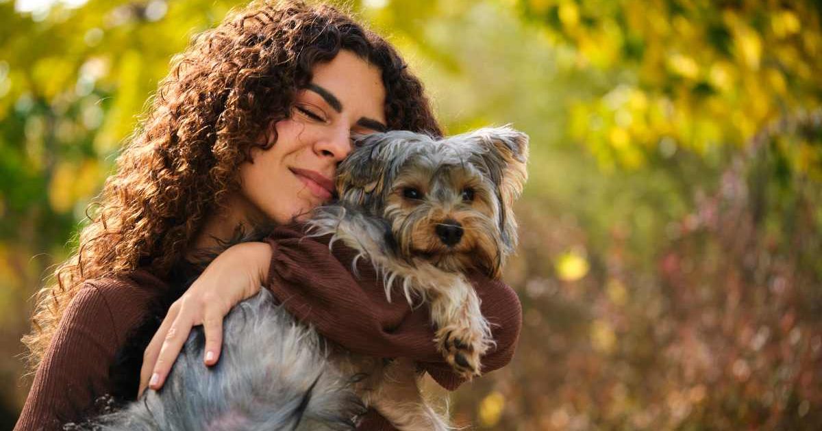 A woman hugging a gray Yorkshire terrier dog. (Representative Image Source: Getty Images | Photo by FujiCraft)