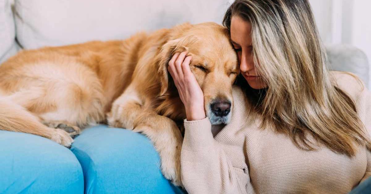 A woman comforting her pet dog, golden retriever. (Representative Image Source: Getty Images | Photo by Eugenio Marongiu)