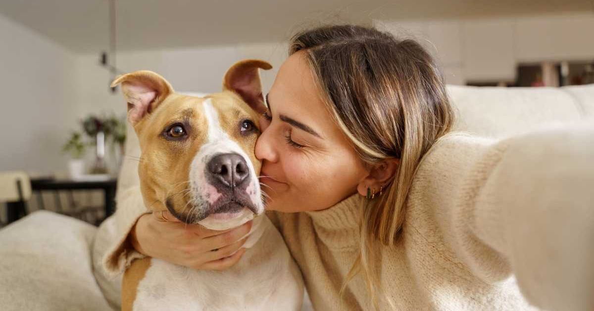 Blonde woman kissing her Pitbull dog at home - stock photo
Getty Images | Photo by Vera Vita