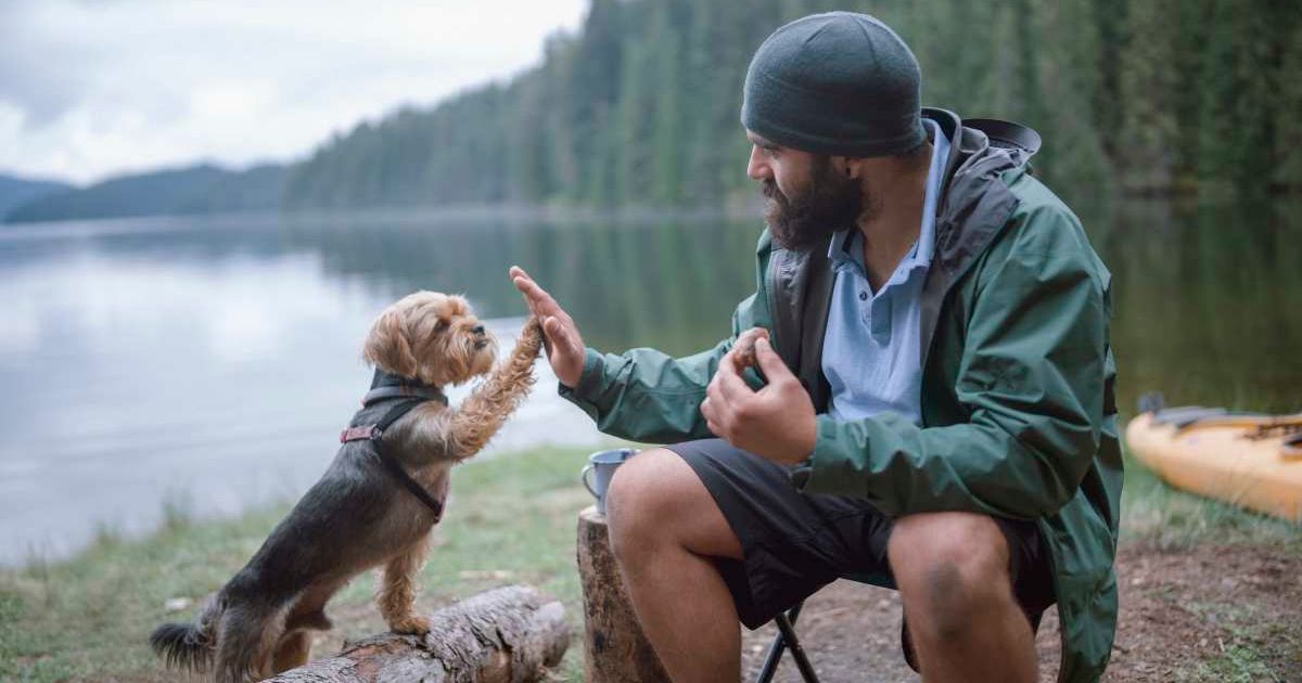 A man hi5-ing his dog, while out camping. (Representative Cover Image Source: Getty Images | Photo by ArtistGNDphotography)