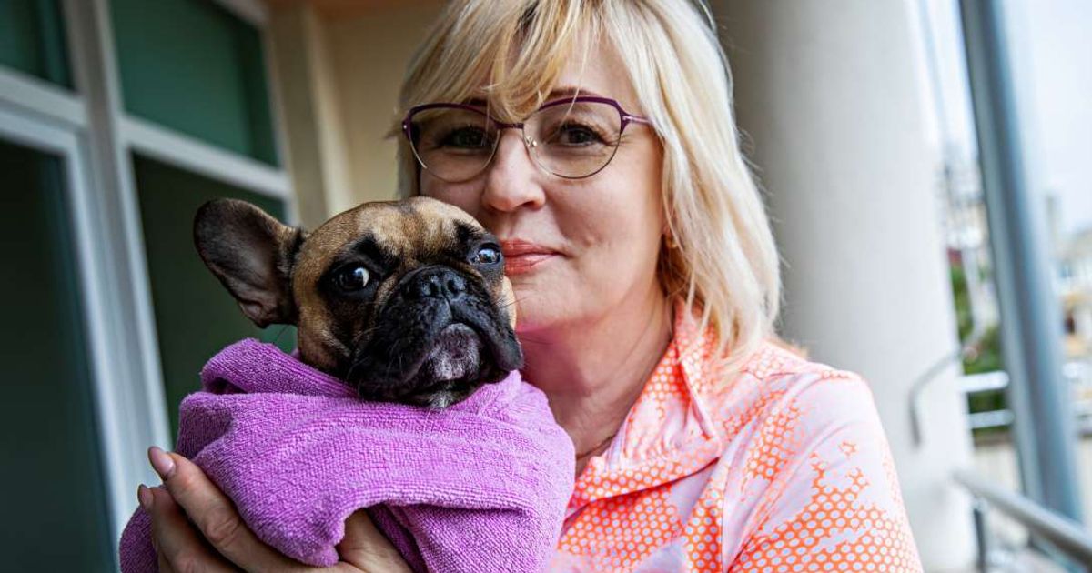 Woman holding a french bulldog wrapped in a towel. (Representative Image Source: Getty Images | Photo by vitapix)
