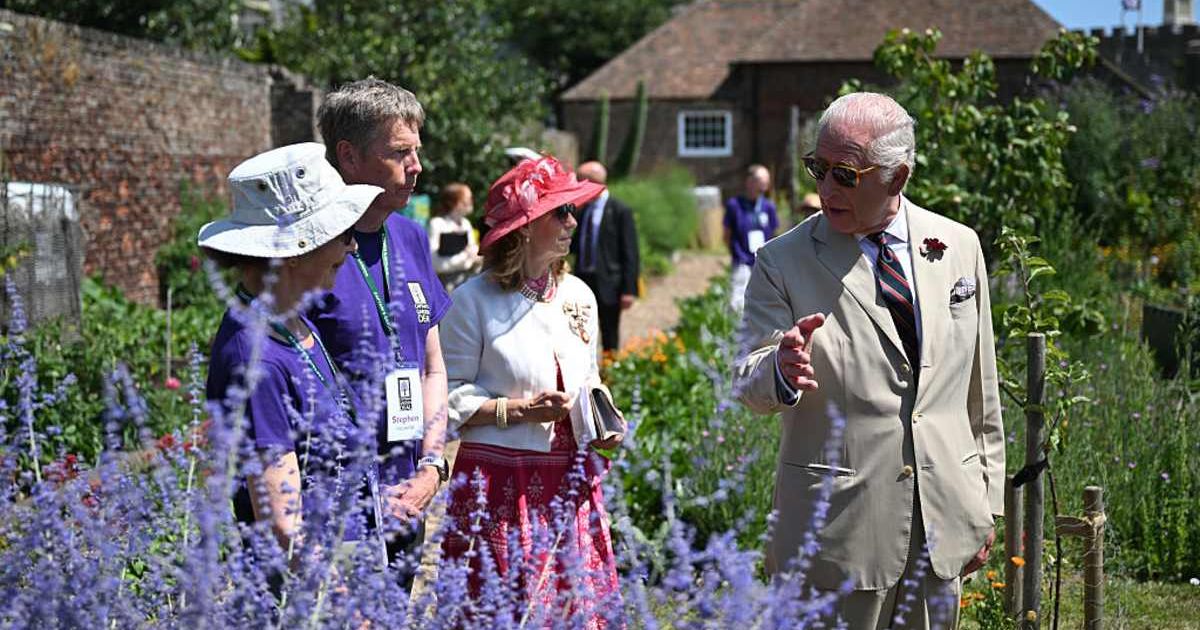 King Charles meets volunteer gardeners at a community garden in July 2025. (Cover Image Source: Getty Images| Justin Tallis - WPA Pool)