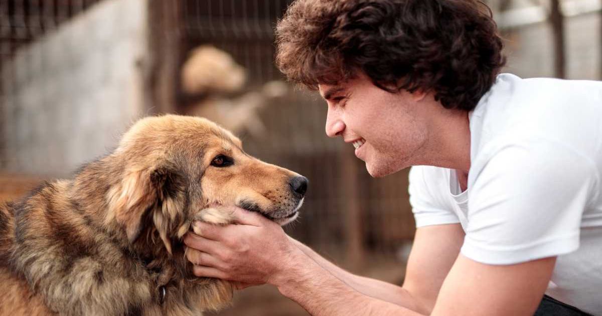 A cheerful man with curly hair caressing a furry dog. (Representative Image Source: Getty Images | Photo by max-kegfire)