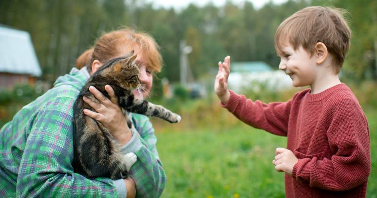 A little boy waving to a cat. (Representative Cover Image Source: Getty Images | Photo by ArtMarie)