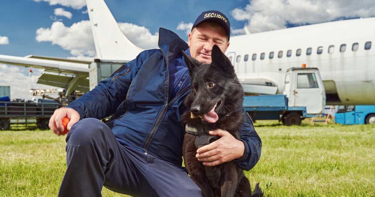 Security officer playing ball with trained detection dog. (Representative Cover Image Source: Getty Images | Photo by Svitlana Hulko)