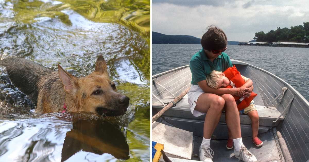 (L) A German Shepherd dog swimming. (R) A mother and her child on a boat. (Representative Image Source: Getty Images | Photo by (L) Jack Angelo, (R) scgerding)