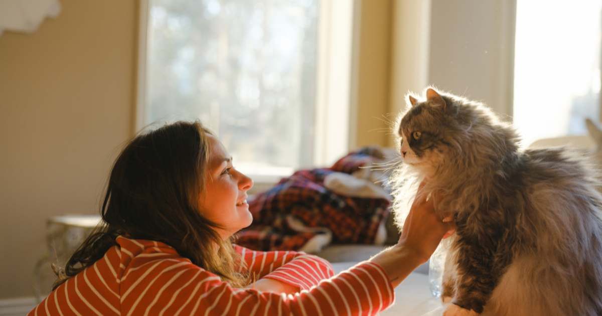 Representative image of Woman petting a senior cat at home on a sunny afternoon (Cover Image Source: Getty Images | Oleh_Slobodeniuk)