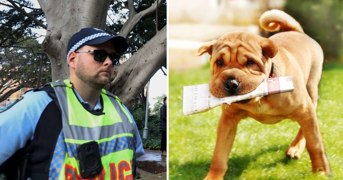 (L) An Australian police officer. (R) A puppy with newspaper in its mouth. (Representative Image Source: Getty Images | (L) Lisa Maree Williams, (R) simplytheyu)