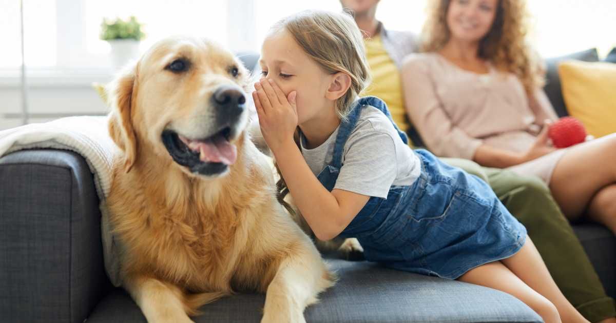 The little girl was whispering something to her pet. (Representative Cover Image Source: Getty Images | shironosov)