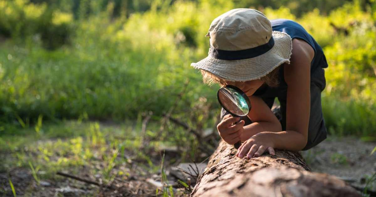 Woman exploring insects with magnifying glass. (Representative Image Source: Getty Images | © Monika Halinowska)