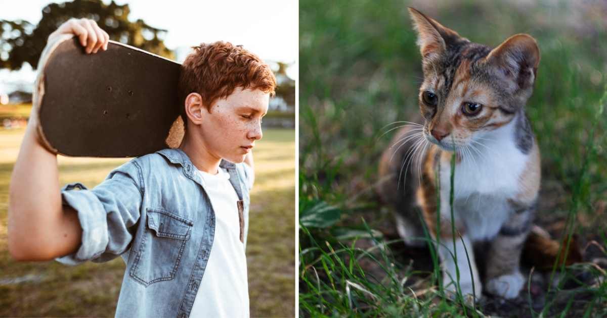 (L) Sad kid with the skateboard on the shoulder; (R) A kitten on the grass, looking at the side. (Representative Cover Image Source: Getty Images | (L) franckreporter; (R) Darija Dudvarski)