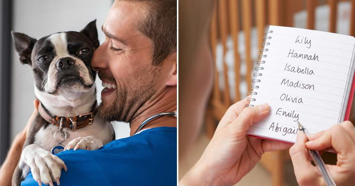 (R) vet in blue uniform cuddling Boston terrier breed dog (L) List features most popular female choices (Cover Image Source: Getty Images | (L) Ridofranz, (R) MachineHeadz