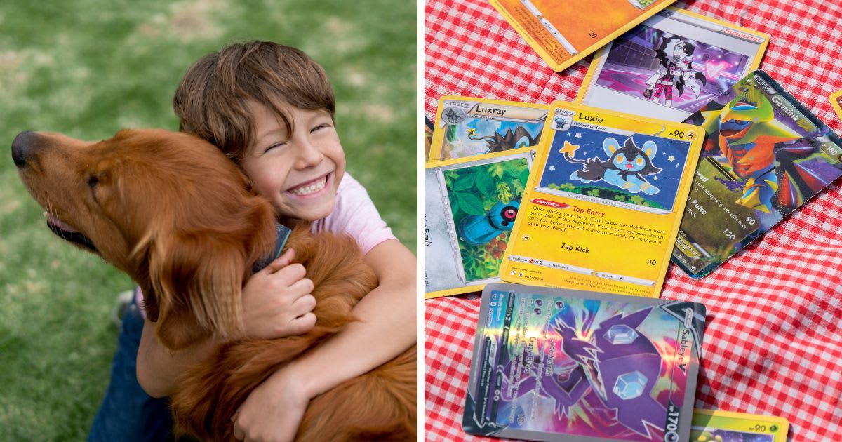 (L) A Happy boy with a beautiful dog, (R) Pokémon cards on sale. (Representative Image Source: Getty Images | (L) andresr, (R) Robert vt Hoenderdaal)