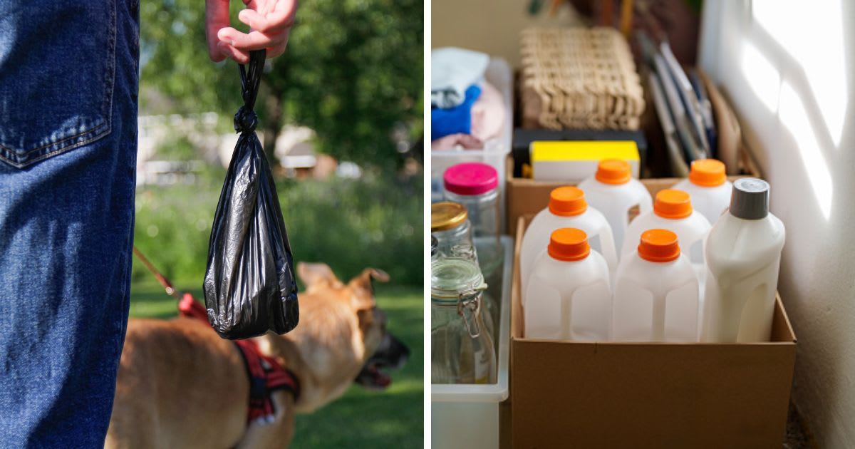 (L) A dog walker collects waste in a bag, (R) Empty milk bottles. (Representative Cover Image Source: Getty Images | (L) Kinga Krzeminska, (R) Thai Liang Lim)