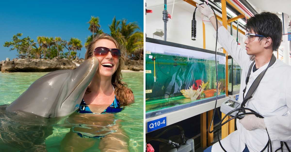 (L) A dolphin kissing a woman on the cheeks. (R) A marine expert monitoring a tank. (Representative Cover Image Source: Getty Images | (L) avid_creative, (R) Billy Hustace)