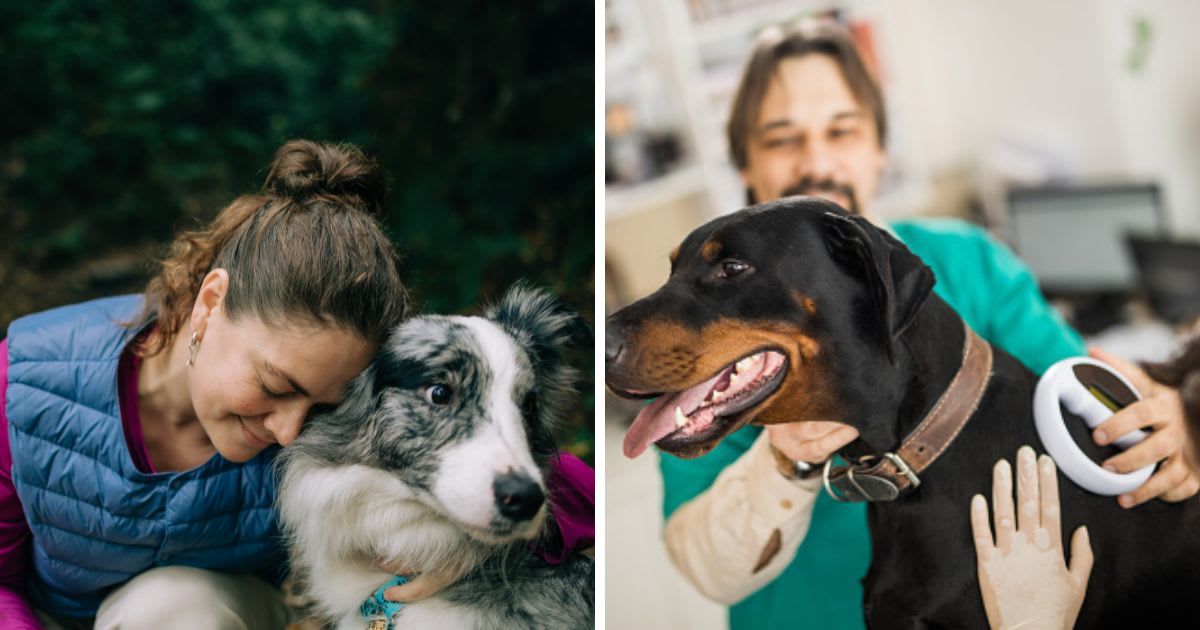 (L) Smiling woman and her loyal dog, (R) Veterinarians scanning Doberman's chip at animal hospital. (Representative Cover Image Source: Getty Images |(L)Olga Pankova, (R) skynesher)