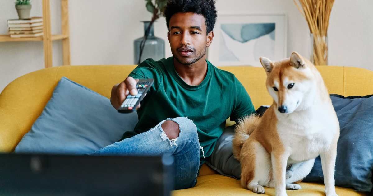 A pet dog watching TV with its owner. (Representative Cover Image Source: Getty Images | juanma hache)