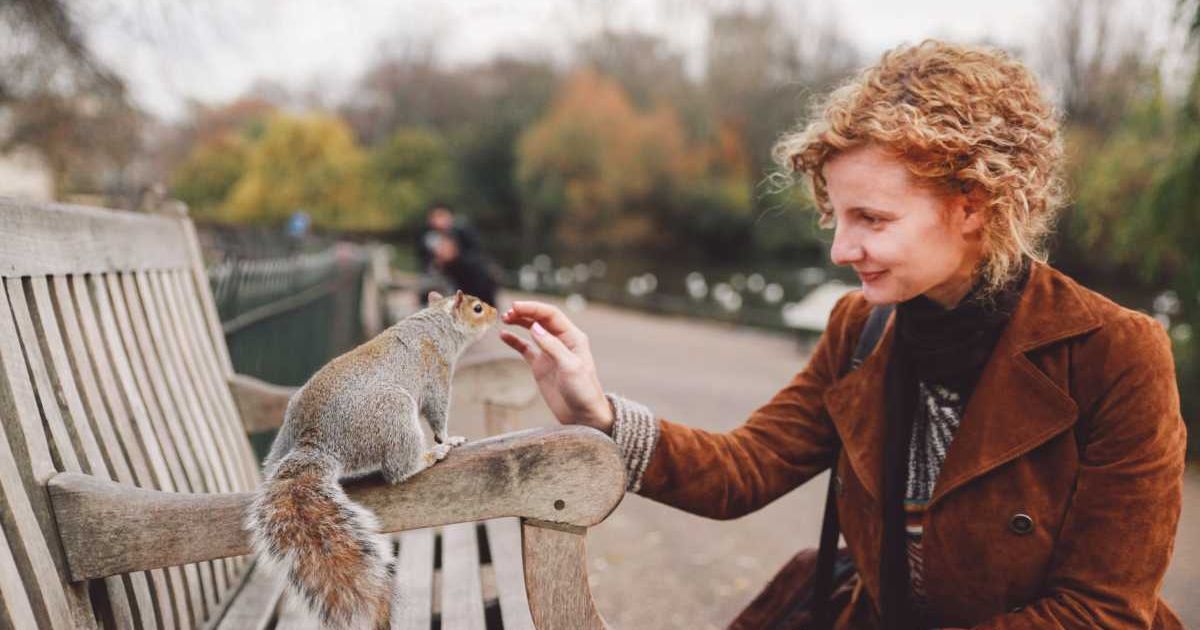 A woman interacting with a squirrel in a park. (Representative Cover Image Source: Getty Images | bortescristian)