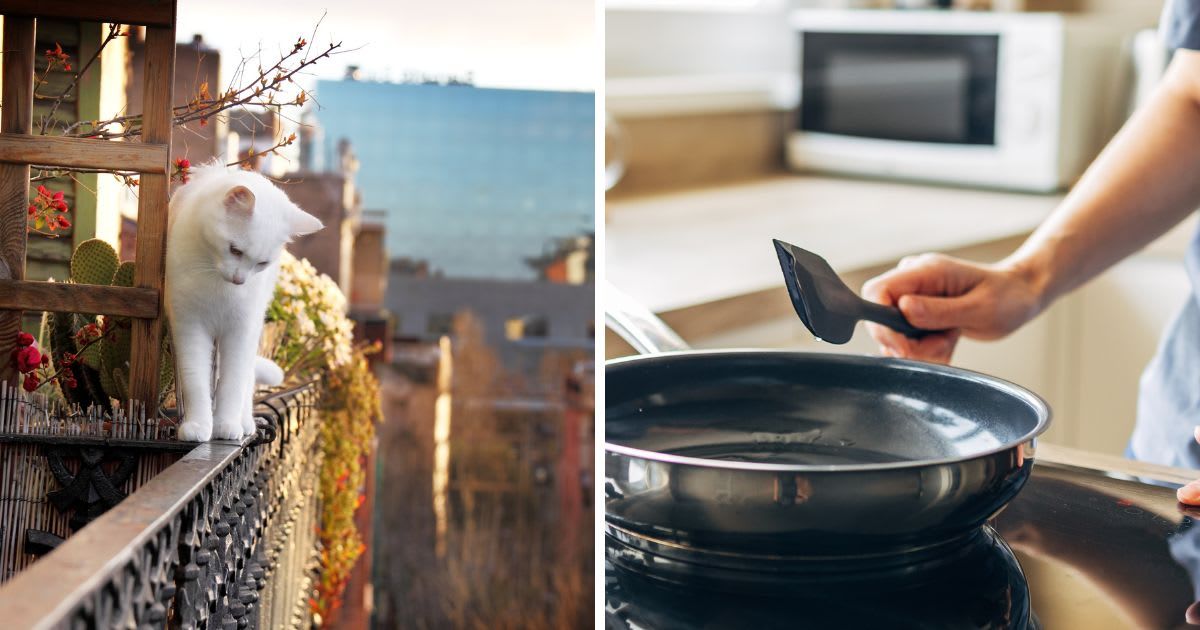 (L) White cat walking along railing of balcony in high building, (R) Woman using frying pan with a spatula. (Representative Cover Image Source: Getty Images | (L) Ferad Zyulkyarov, (R)Ekaterina Vasileva-Bagler)