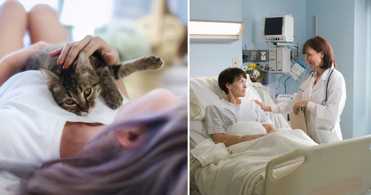 (L) A pet cat lying on her owner's chest. (R) A woman in the hospital. (Representative Cover Image Source: Getty Images | (L) Thirawatana Phaisalratana, (R) Thomas Northcut)