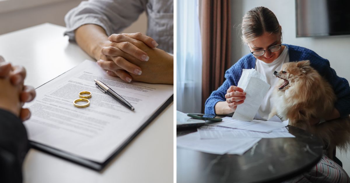 (L) Divorce agreement and wedding rings , (R) Woman signing a pet prenup. (Representative Cover Image Source: Getty Images | (L)bymuratdeniz, (R)Natalia Lebedinskaia)