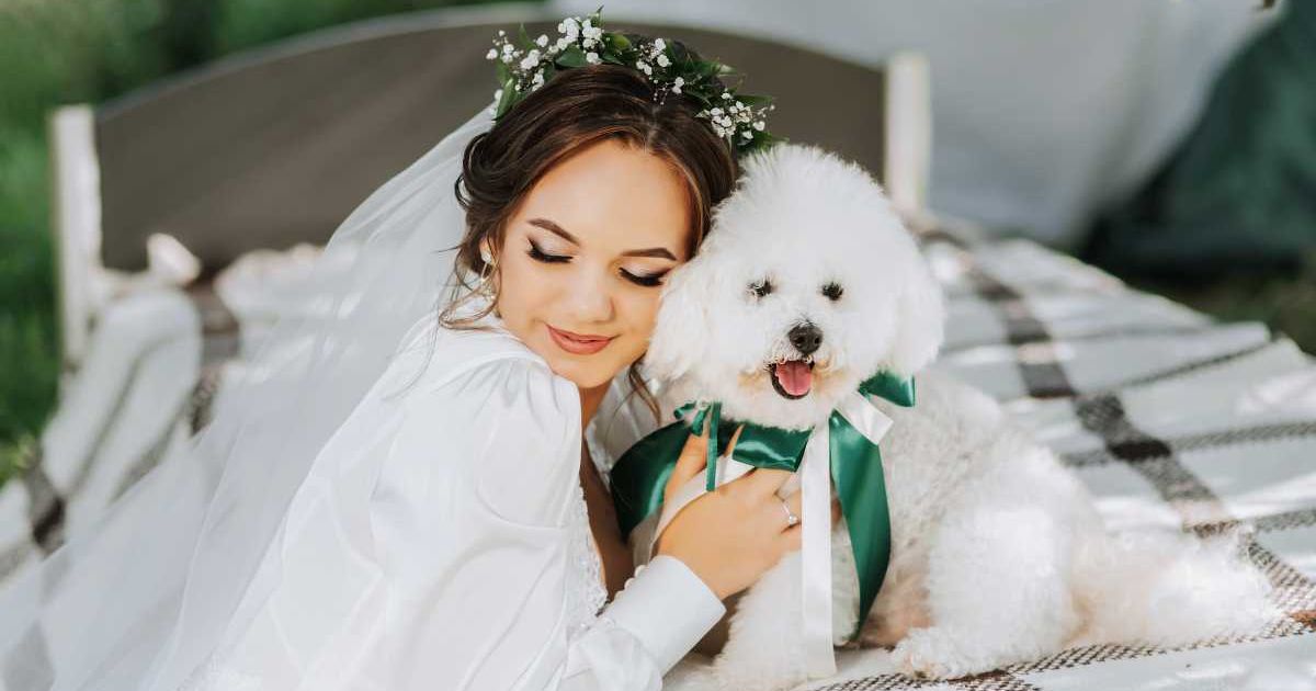 A young bride with her pet dog on her wedding day. (Representative Cover Image Source: Getty Images | Docinets Vasil)