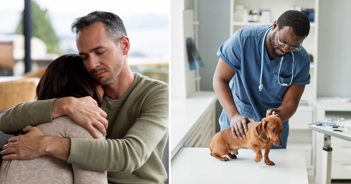 (L) A sad couple hugging each other. (R) A vet checking a pet dog. (Representative Cover Image Source: Getty Images | (L) Hispanolistic, (R) Seventy Four)