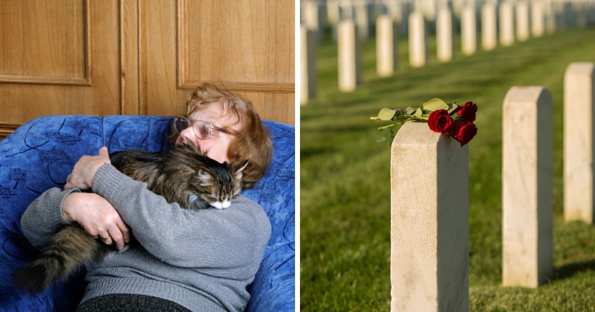 (L) Old woman asleep in a chair with her cat, (R) Roses on a cemetery gravestone. (Representative Cover Image Source: Getty Images | (L) alarich, (R) WHL)