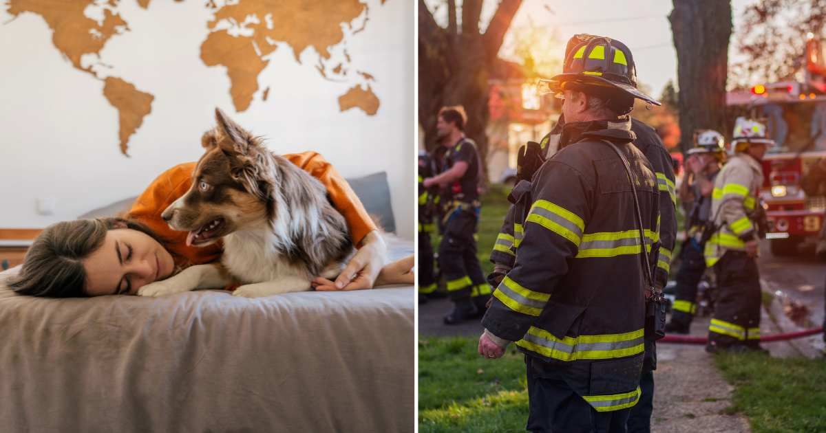 (L) A border collie pet dog next to its sleeping owner. (R) A group of firefighters in front of a house. (Representative Cover Image Source: Getty Images | (L) Mario Martinez, (R) Susan Barr)