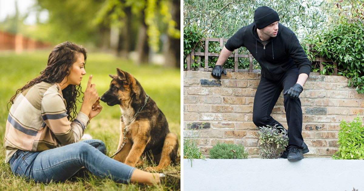 (L) Happy young woman playing with her dog on the grass in park, (R) Strange man climbing on wall. (Representative Cover Image Source: Getty Images | (L) Eleganza, (R) Image Source)
