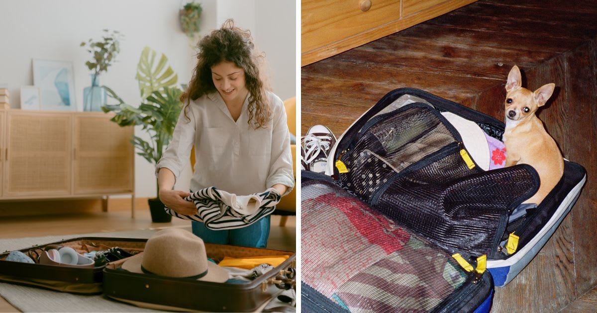 (L) Young woman on her knees on the living room floor packing her suitcase as she prepares for a trip, (R) Chihuahua on top of open suitcase. (Representative Cover Image Source: Getty Images | (L) Israel Sebastian, (R) Blake Sinclair)