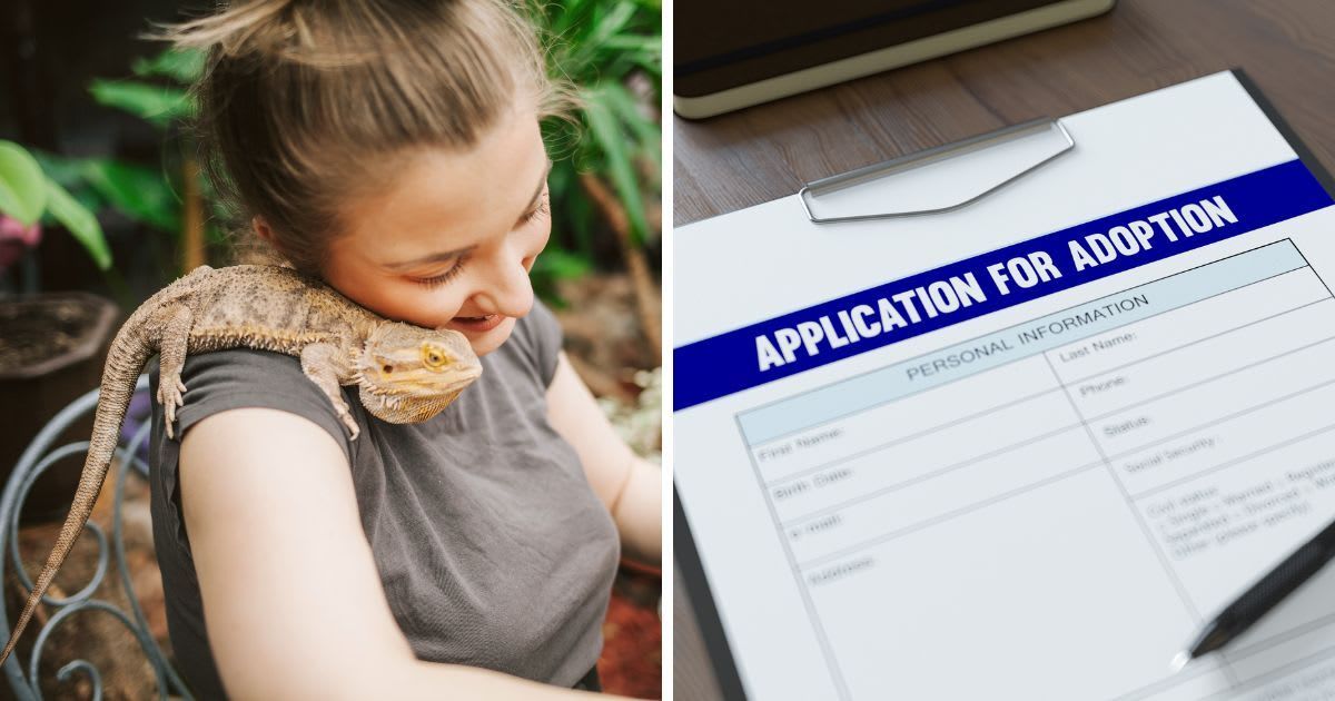 (L) A woman planting plants in the company of a lizard, (R) Application Form for Adoption. (Representative Cover Image Source: Getty Images | (L) Nevena1987, (R) asbe)