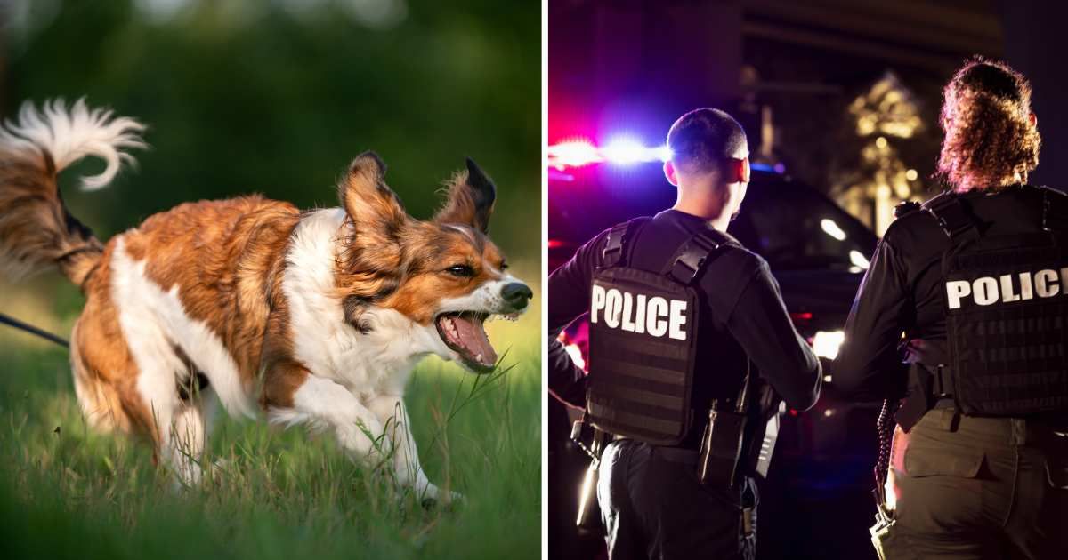 (L) A pet dog barking aggressively. (R) Two police officers. (Representative Cover Image Source: Getty Images | (L) Anita Kot, (R) kali9)