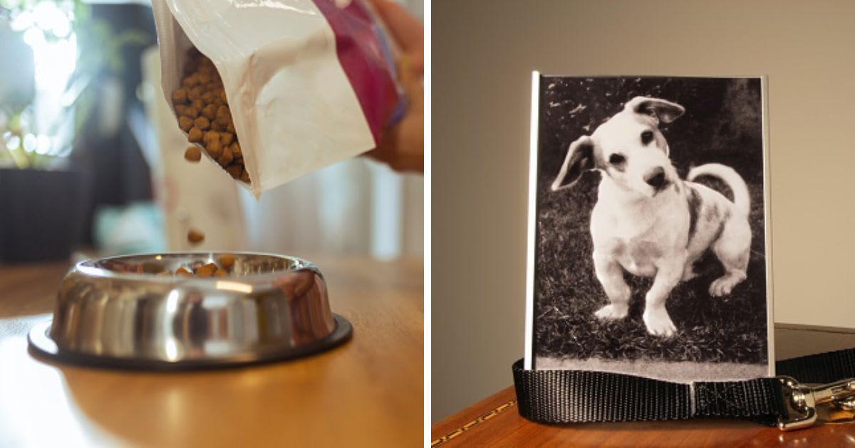 (L) Woman pours kibble for her dog from a bag into a dog food bowl, (R) Dog's Photo on Mantle. (Representative Cover Image Source: Getty Images | (L) Lajst, (R)Uberphotos)