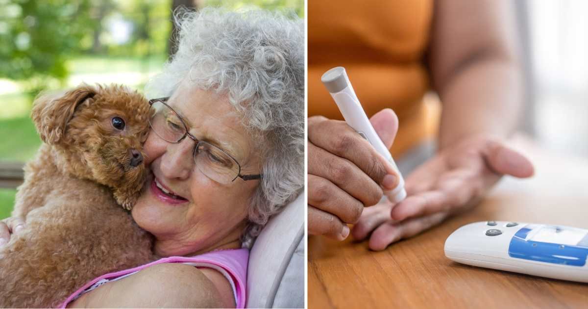 (L) An old woman with a poodle pet dog. (R) A woman checking her sugar levels. (Representative Image Source: Getty Images | (L) Caroline Bennett, (R) athima tongloom)