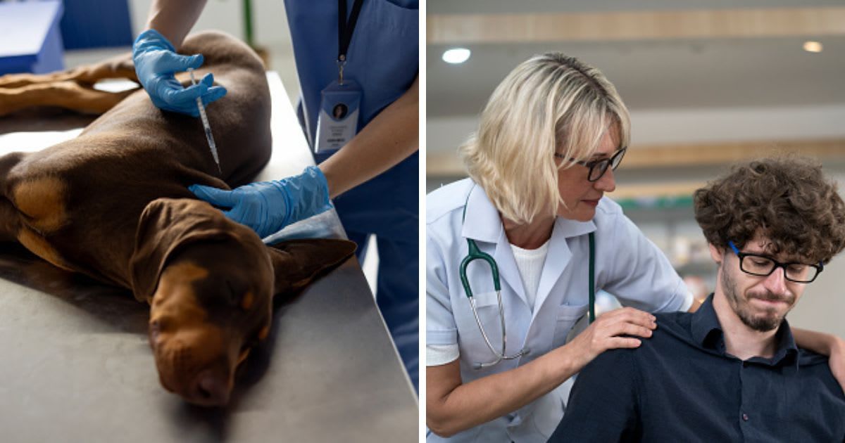 (L) Veterinarian euthanizing a puppy at the animal hospital, (R) Doctor consoling a pet owner. (Representative Cover Image Source: Getty Images | (L) Hispanolistic, (R) thianchai sitthikongsak)