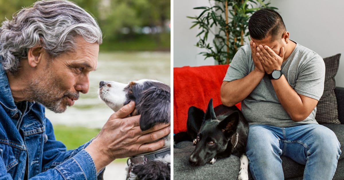 (L) Senior man talking to his dog, (R) A man and dog sitting on the sofa at home with sad expression. (Representative Cover Image Source: Getty Images | (L)Westend61, (R) AaronAmat)