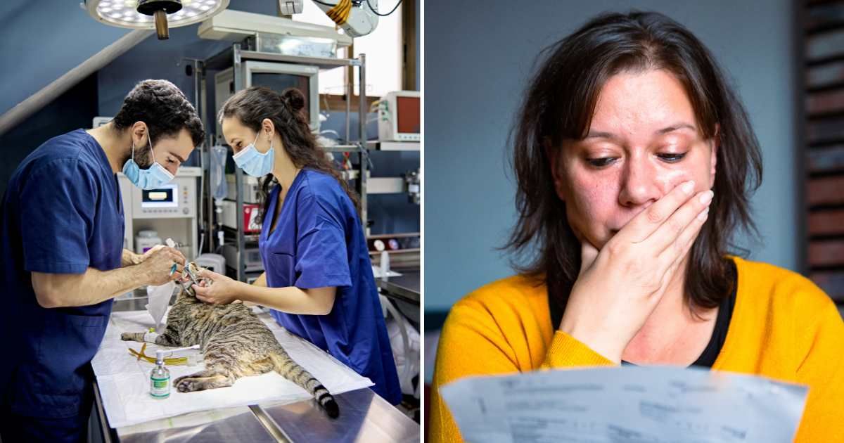 (L) A cat going through surgery. (R) A woman shocked looking at a bill. (Representative Cover Image Source: Getty Images | (L) xavierarnau, (R) coldsnowstorm)