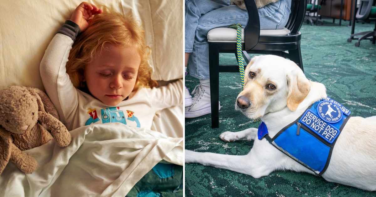 (L) A little girl sleeping in her bed. (R) A service dog. (Representative Cover Image Source: Getty Images | (L) Matt Carr, (R) Kelsey Andriot Purcell)