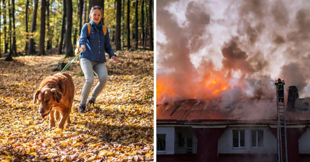 (L) Big dog is dragging pet owner, (R) Burning fire flame with smoke on the apartment house. (Representative Cover Image Source: Getty Images | (L)Zbynek Pospisil, (R) Farion_O)