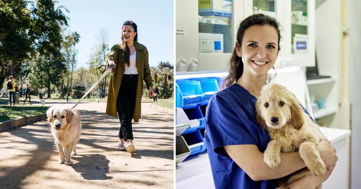 (L) A woman walking her dog. (R) A vet holding a puppy. (Representative Cover Image Source: Getty Images | (L) Westend61, (R) xavierarnau)