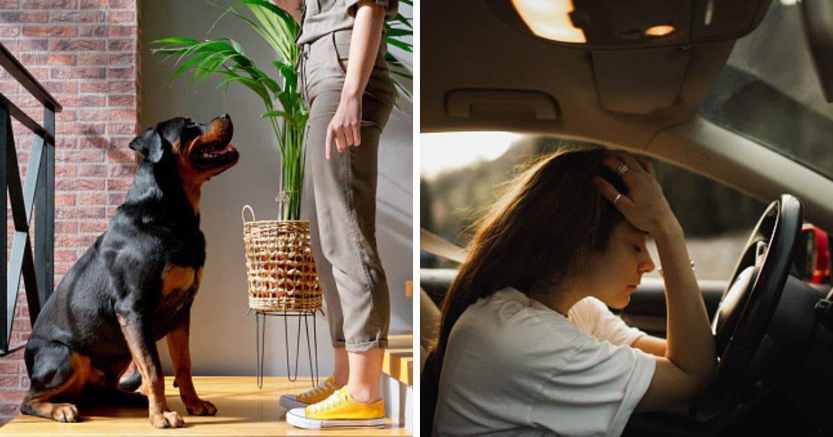 (L) A woman trainning Rottweiller dog at staircase, (R) Tired and upset woman alone in car. (Representative Cover Image Source: Getty Images |(L)Vera Vita, (R)Oleg Breslavtsev)