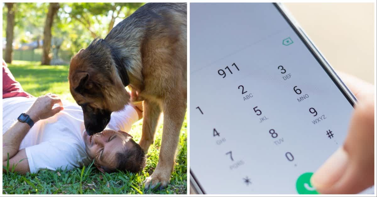 (L ) A German Shepherd licking his owner who is lying down ; (R) 911 being dialled (Representative Cover Source: Getty Images | Photo by (L) Reilly Wardrope ; (R) releon8211)