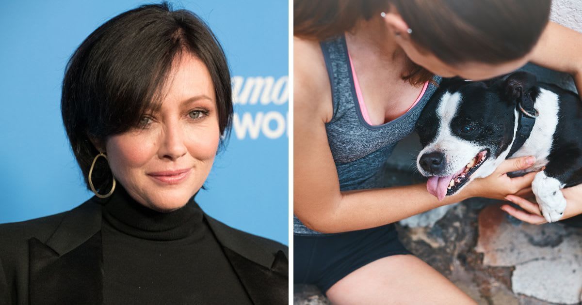 (L) Actress Shannen Doherty attends the Paramount Network Launch Party. (Cover Image Source: Getty Images | Earl Gibson III), (R) A girl hugging her pet dog. (Representative Cover Image Source: Getty Images | RapidEye)