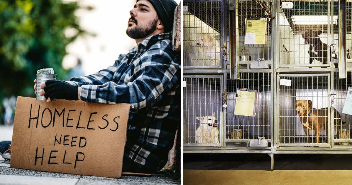 (L) A homeless man sitting on the road. (R) An animal shelter. (Representative Cover Image Source: Getty Images | (L) urbazon, (R) Camille Tokerud)