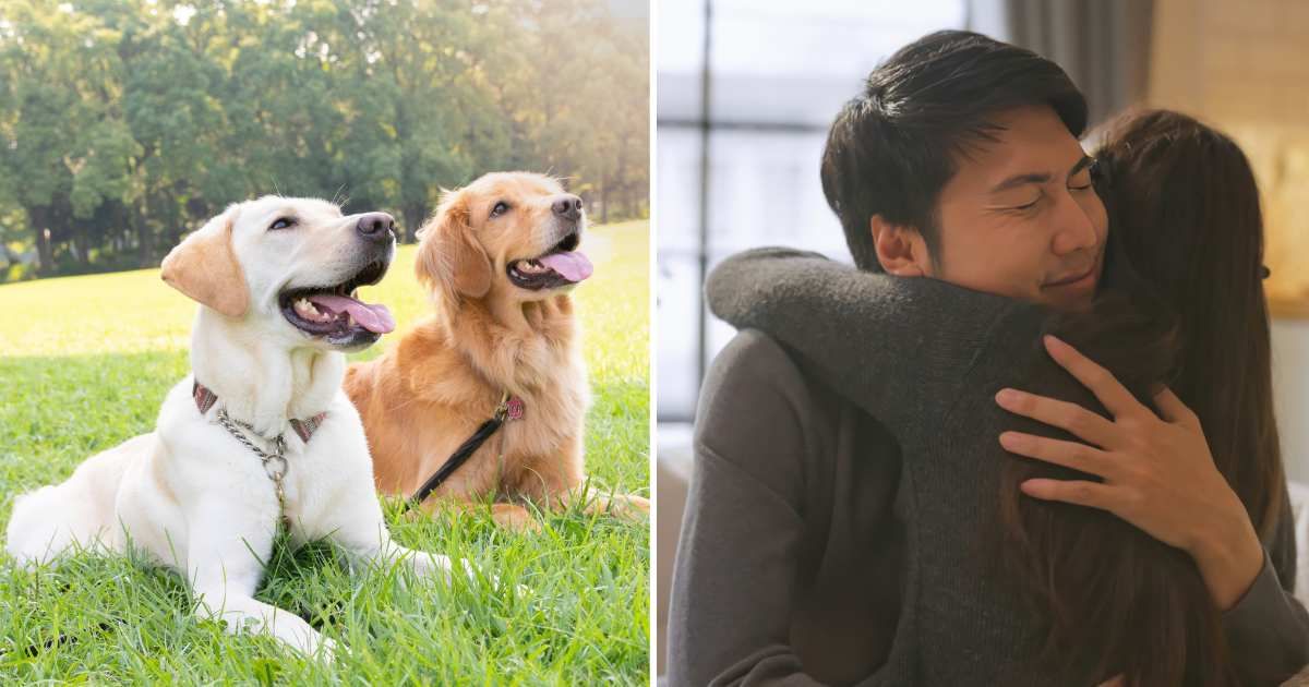 (L) Two golden retrievers sitting on a lawn. (R) A couple hugging each other. (Representative Cover Image Source: Getty Images | (L) Daisuke Morita, (R) travelism)