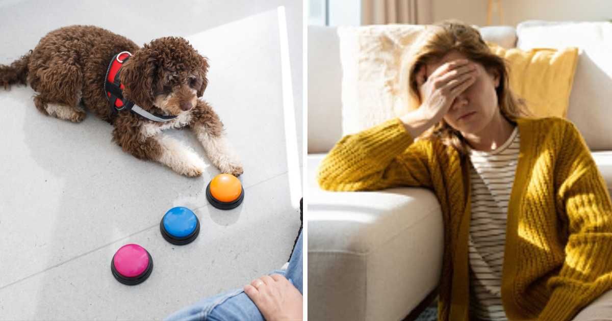 (L) Dog being trained with button clickers, (R) Woman having headache. (Representative Cover Image Source: Getty Images | (L) Capuski, (R) ingwervanille)
