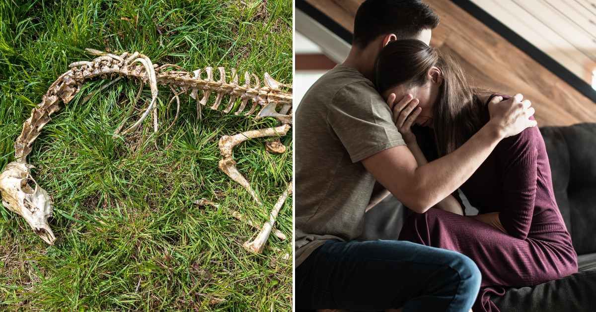 (L) Bones found in woods. (R) A sad couple hugging each other. (Representative Cover Image Source: Getty Images | (L) Andi Edwards, (R) kieferpix)