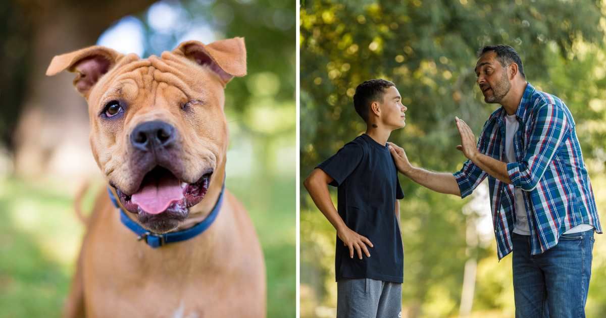 (L) A one-eyed dog. (R) A man talking to a teenager. (Representative Cover Image Source: Getty Images | (L) Mary Swift, (R) fotostorm)